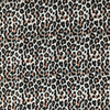 Chiffon Print Fabric 