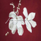 //jprorwxhrioroq5q.ldycdn.com/cloud/liBqoKqrRoqSkmrnlqlp/XT19129BS-9a-60-60.jpg