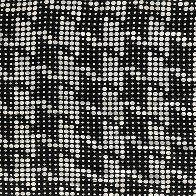 Chiffon Print Fabric 