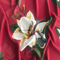//jprorwxhrioroq5q.ldycdn.com/cloud/llBqoKqrRooSnrkmmolp/24-60-60.jpg