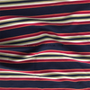 Poly Four Way Fabric