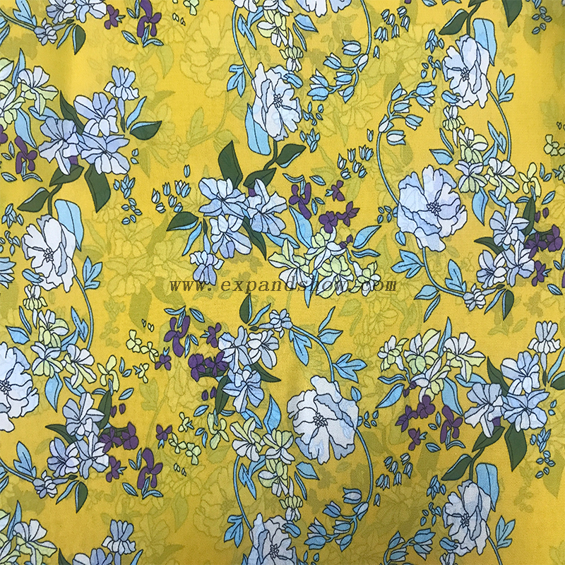Chiffon Print Fabric 