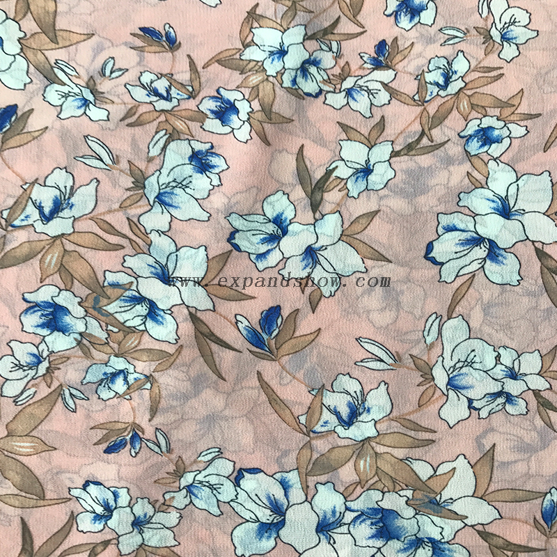 Chiffon Print Fabric 